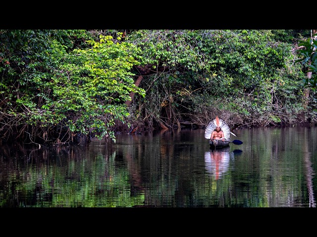 The Chiefs: The Last Defenders of the Amazon | Free Documentary