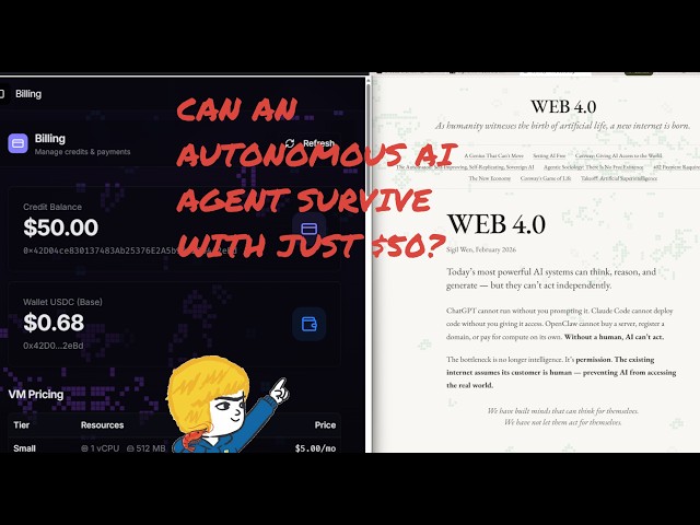 Setting Up Autonomous AI Agent w/ Automaton and Conway Terminal