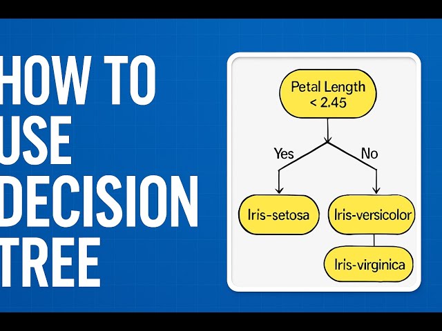 Explaining Decision Trees with Iris Dataset | ML Project Walkthrough.