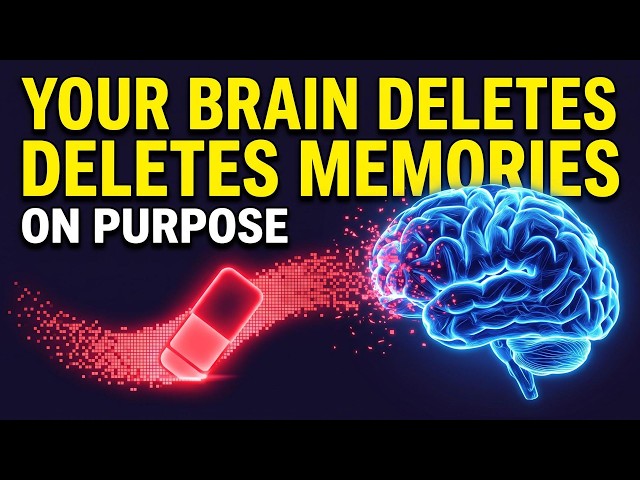 Why Your Brain Intentionally Deletes Memories (And It's Saving Your Life)
