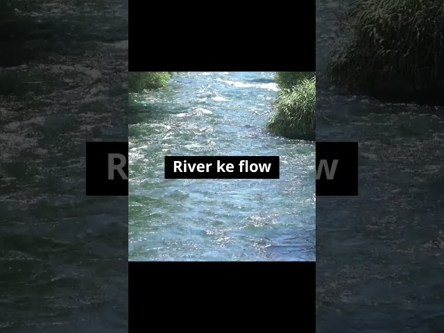 What is Resultant Vector | Motion in a Plane #physics #class11physics #vectors #learnspark