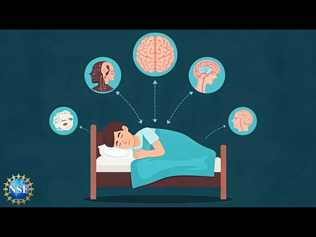 The Connection Between Memory & Sleep | Science Nation