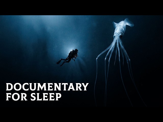Why Deep Sea Creatures Get Creepier the Deeper You Go | Documentary for Sleep