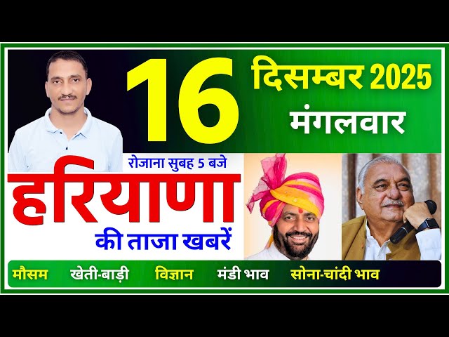 16 December 2025 Haryana News || हरियाणा की ताजा खबरें || Haryana News || CWB Hindi News