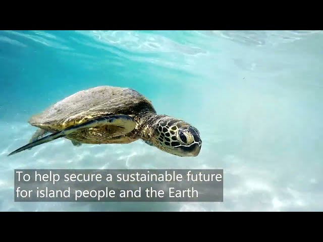 Introducing Digital Earth Pacific