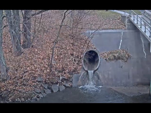 Bettendorf Duck Creek Web Camera