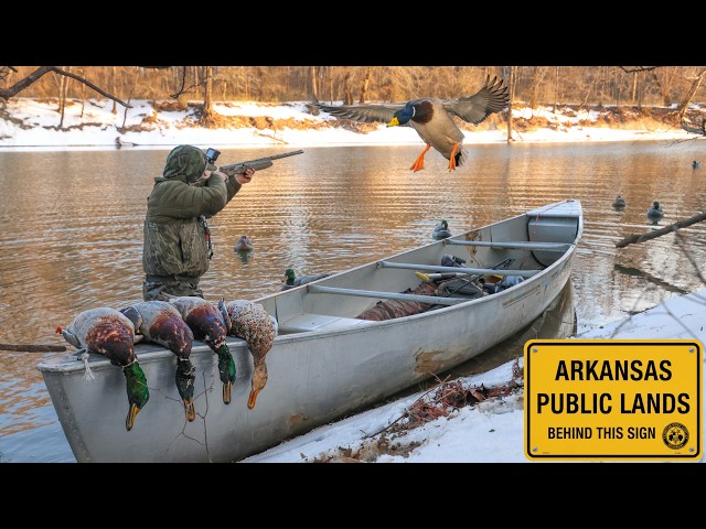 Epic Solo Duck Limit In My Canoe!