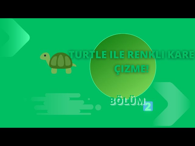 Turtle ile Renkli Kare Çizme! #python #vscode #pythontutorial