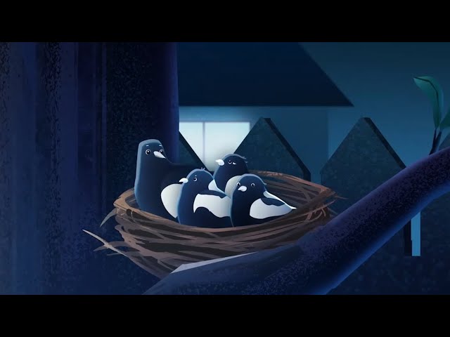 Light Pollution Informative Animation - Voice Demo