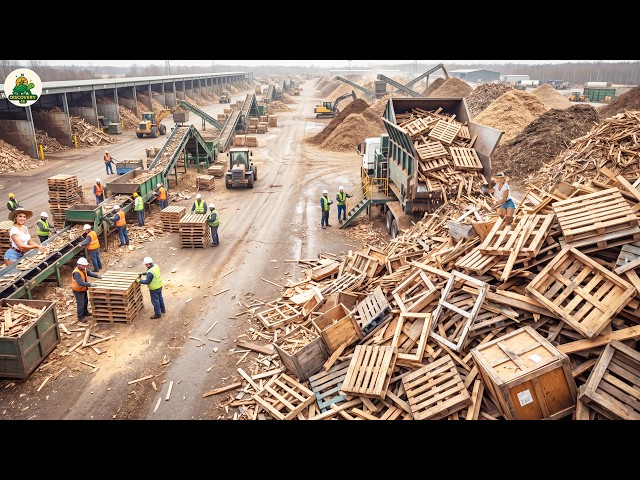 Crossing Through the Giant Wood Waste Recycling Industry - Old Pallets, Mulch, & Biomass Fuel