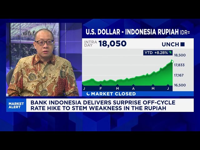 ‘Silly’ policies are hurting Indonesian rupiah and its central bank alone cannot solve it: Analyst
