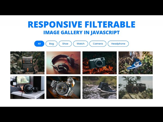 Responsive Filterable Image Gallery using HTML CSS & JavaScript