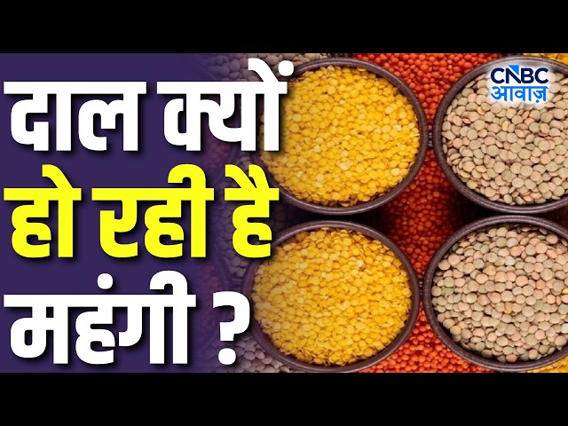 Commodity Roundup: दाल क्यों हो रही है महंगी? जानिए पूरा मामला! | Sohil Tanna