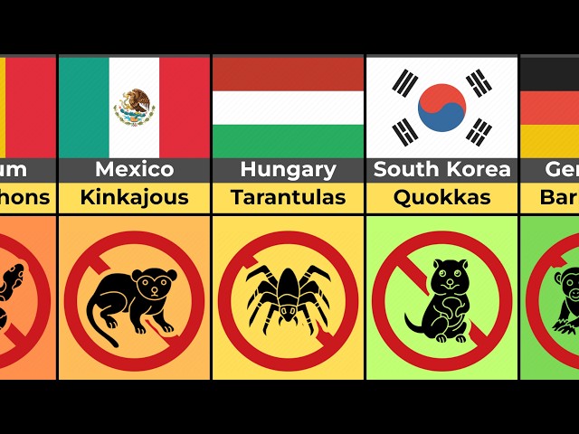 Illegal Exotic Pets (By Country)