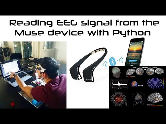 Reading EEG brain signal from the Muse Device with Python #programming #coding #technology #bci