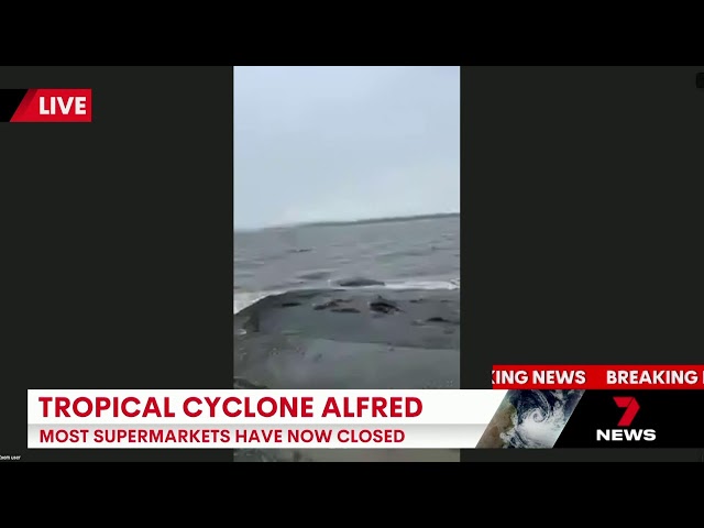 7NEWS Cyclone Alfred update 7th March