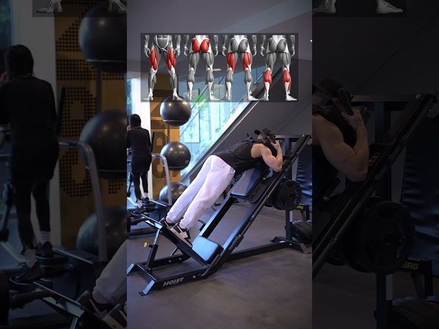 Hack Squat Machine Variations (DO THESE!)