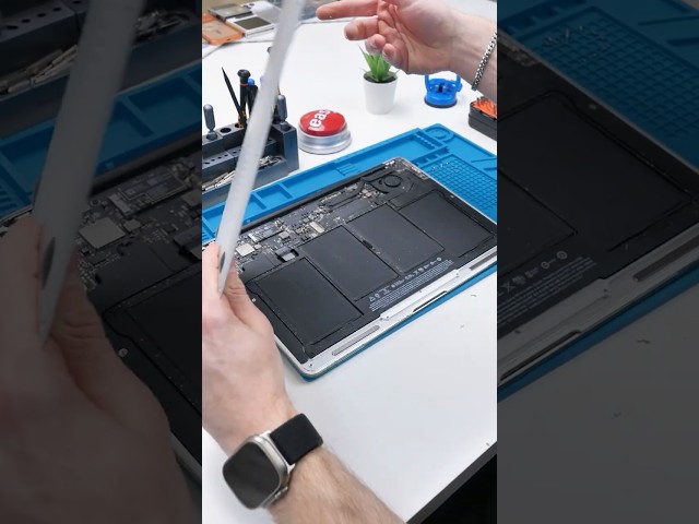 Sometimes It's Just Not Worth It...? #Shorts