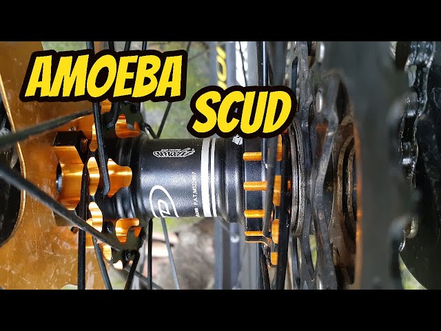 AMOEBA SCUD DM873 | Review & Sound