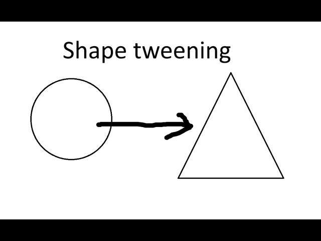 First shape tween