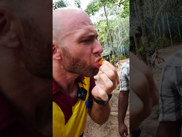 Eating Coconut Worm in the Amazon Jungle