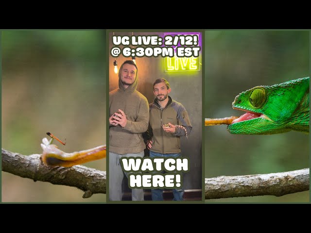 UG LIVE SHOW - 2/12 @ 6:30 PM EST