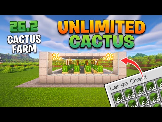 How to Build a SUPER Simple Automatic Cactus Farm in Minecraft Java 26.2!