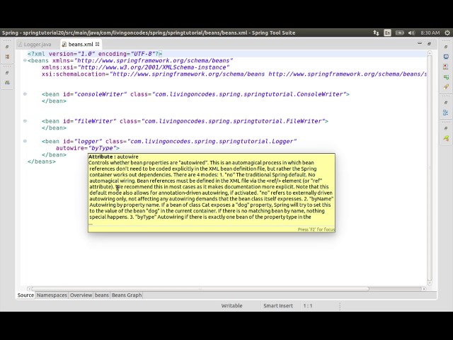 20 Spring Framework   Autowiring by name