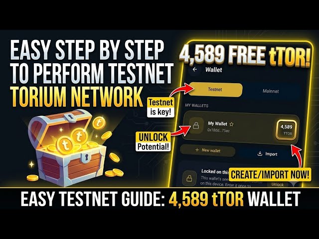 Torium Network Testnet| Beginners Guide | Easy Step By Step to Perform Testnet on Torium Network 