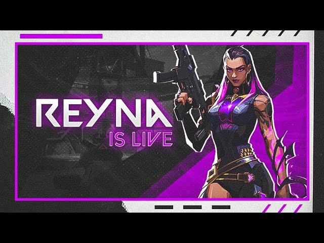 STARTING A NEW ERA I VALORANT