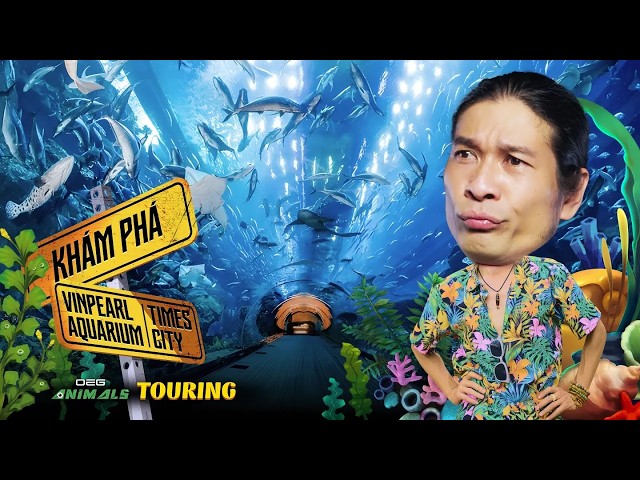 OEGANIMALS TOURING | THỦY CUNG VINPEARL TIMES CITY LIỆU CÒN XỨNG ĐÁNG ĐỂ GHÉ THĂM ???