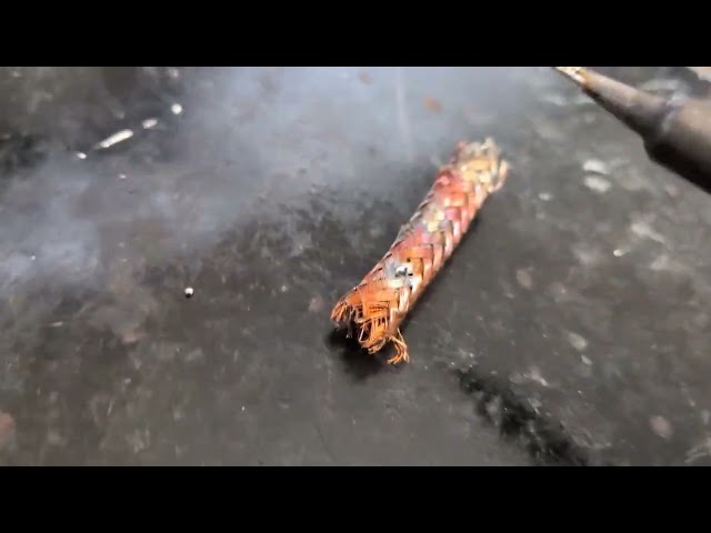 Is it real or is it fake? Jaycar vs Radioparts RG213.