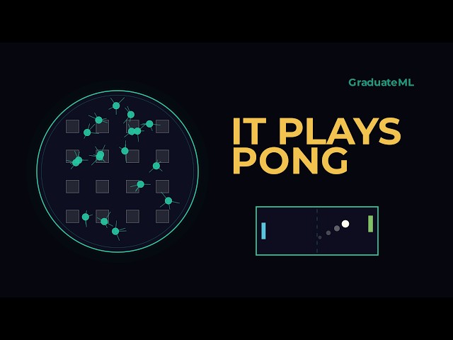 The Most Unethical AI Saves The Most Energy While Playing Pong