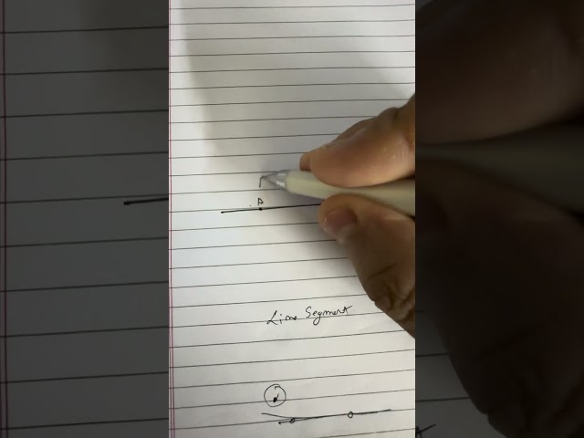 Great observation on line segment and ray 