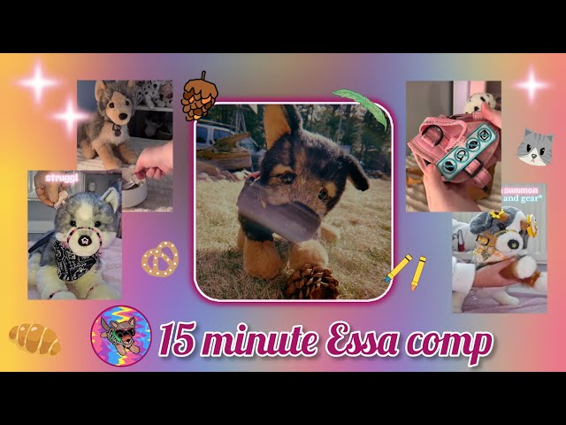 ESSA COMP! To watch with your ESSA'S 🐾