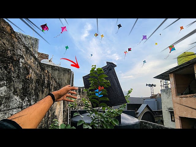 Kite looting on Tree at Rooftop 🌳😱🪁 | kite looting 2026 