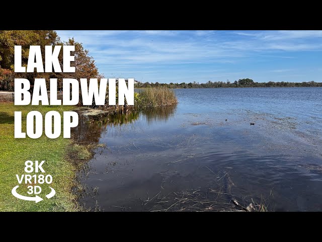 Lake Baldwin Park Loop Trail VR180 8K 3D | Orlando FL | Lakeside Nature Walk | VR视频 8K 3D動画 VR旅行