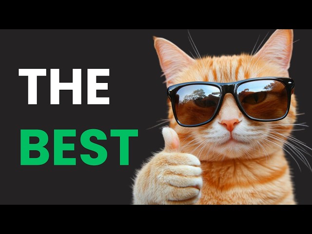 This is the Best Backend Framework for 2026