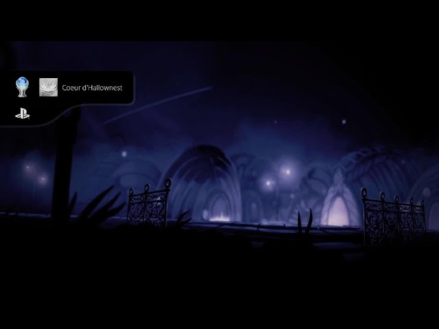Hollow Knight Platinum 112%