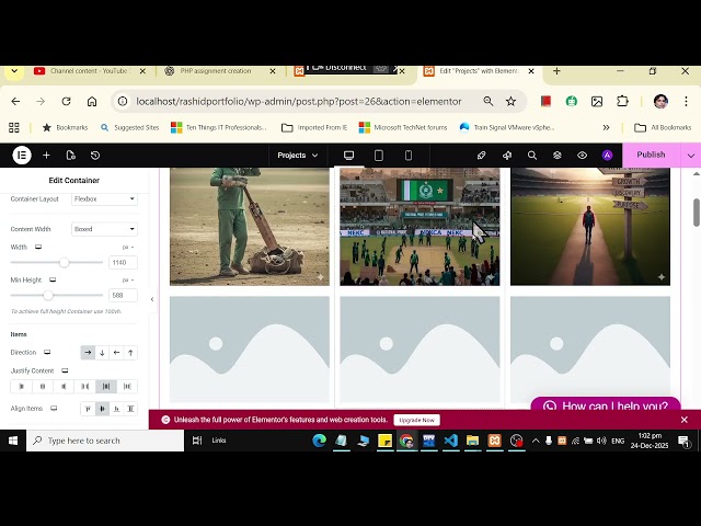 WordPress Elementor: Apply counter on Website