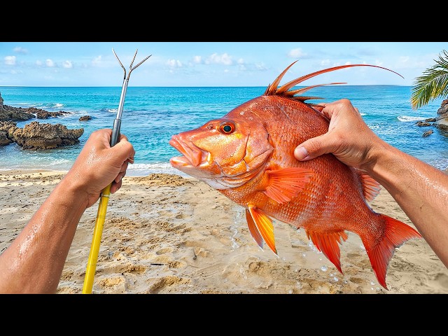 Catching My Food With A Spear (again…)