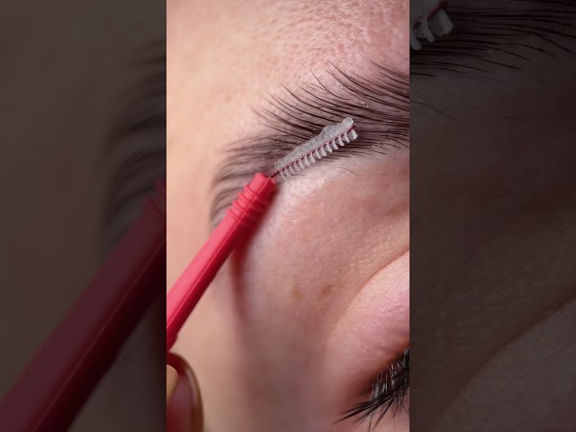 This step is a must-have…🤭 #eyebrows #eyebrow #eyebrowtutorial #eyebrowtips #stepbystep #makeup