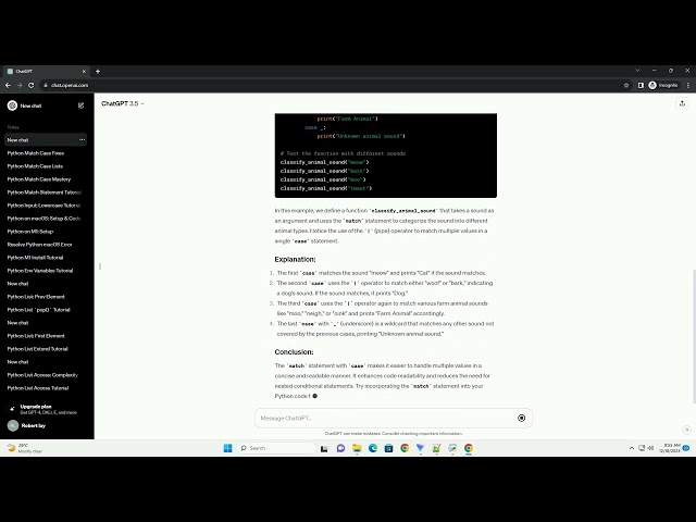 python match case multiple values
