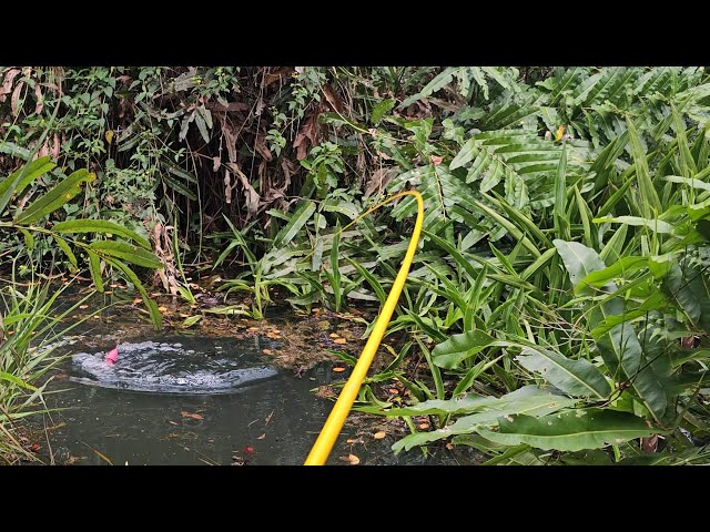 Don't underestimate wild fishing spots like this #SG-363