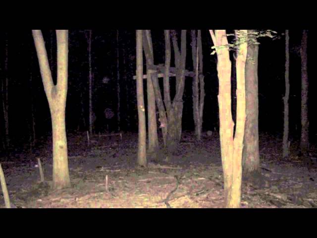 அந்த ஒத்தை அடி பாதை-Ghost story tamil