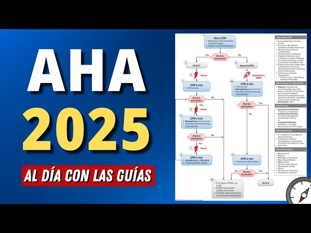 Nueva Guía de Reanimación AHA 2025 | ALS / BLS #aldíaconlasguías