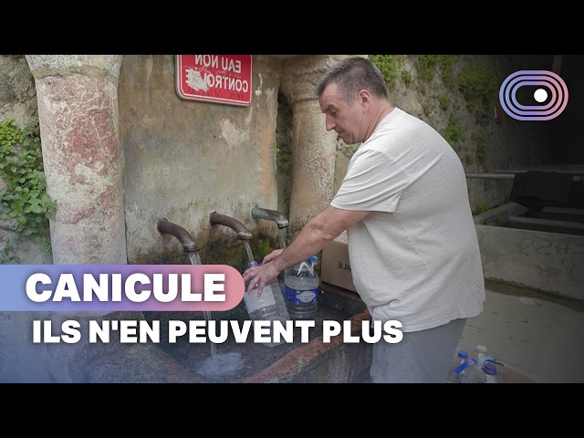 Heatwave: Daily life for the French disrupted by the heat
