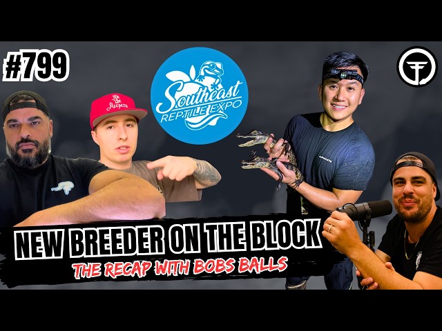 Bob Vu's Most Anticipated Ball Python Projects In 2027  And SERE Expectations | NBB Recap (Live)