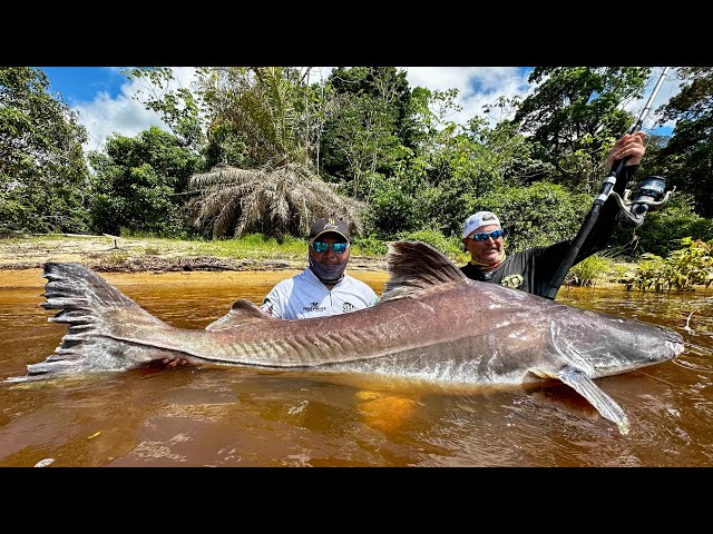 Record-breaking piraíba fishing trip!! It's monstrous!!