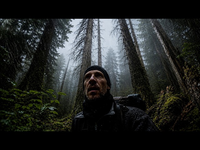 Alone in a Mossy Forest During Non Stop Rain - Tarp Shelter Overnight